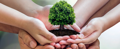 Three Pairs Of Hands Cupping Tiny Green Tree